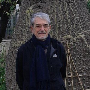 Carlo Gasparri